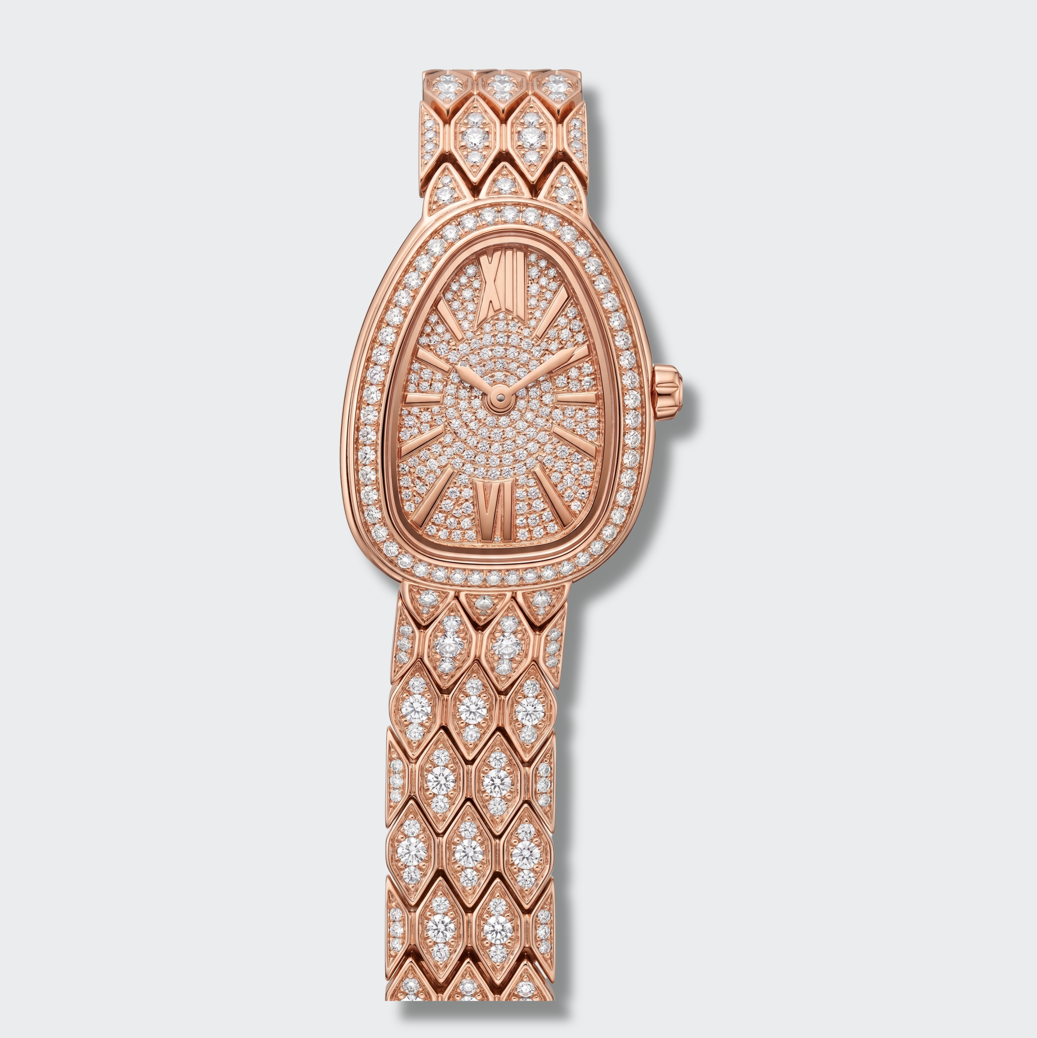Bustdown Carti Watch